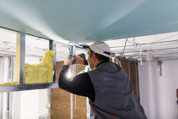 Best Insulation for Specific Applications in New Bern, NC