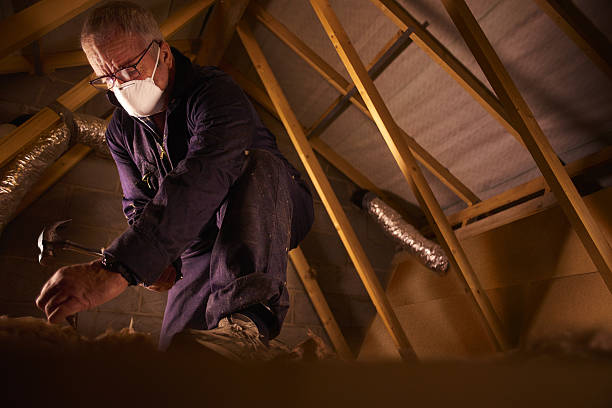 Best Types of Insulation in New Bern, NC